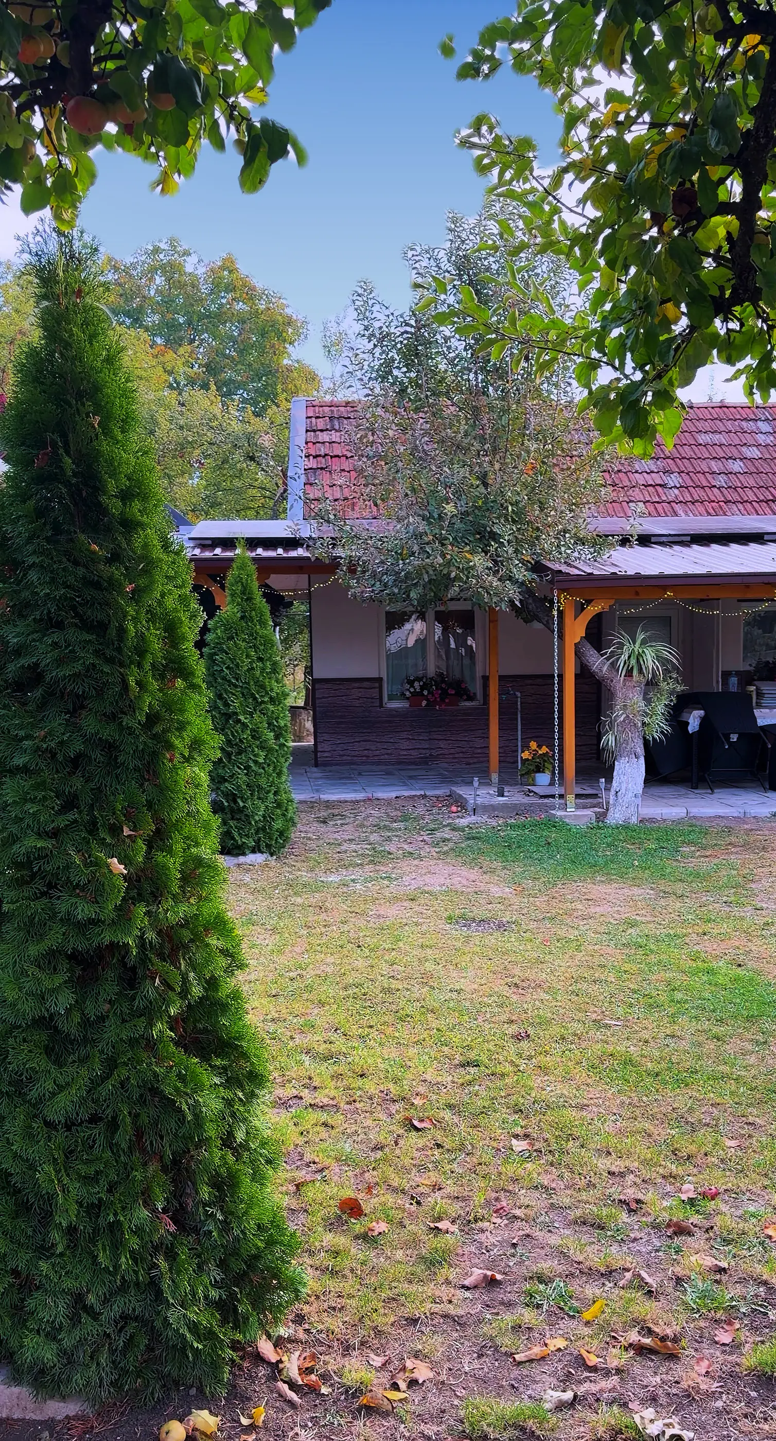 Gazonul din curte, tuia și terasa în fundal