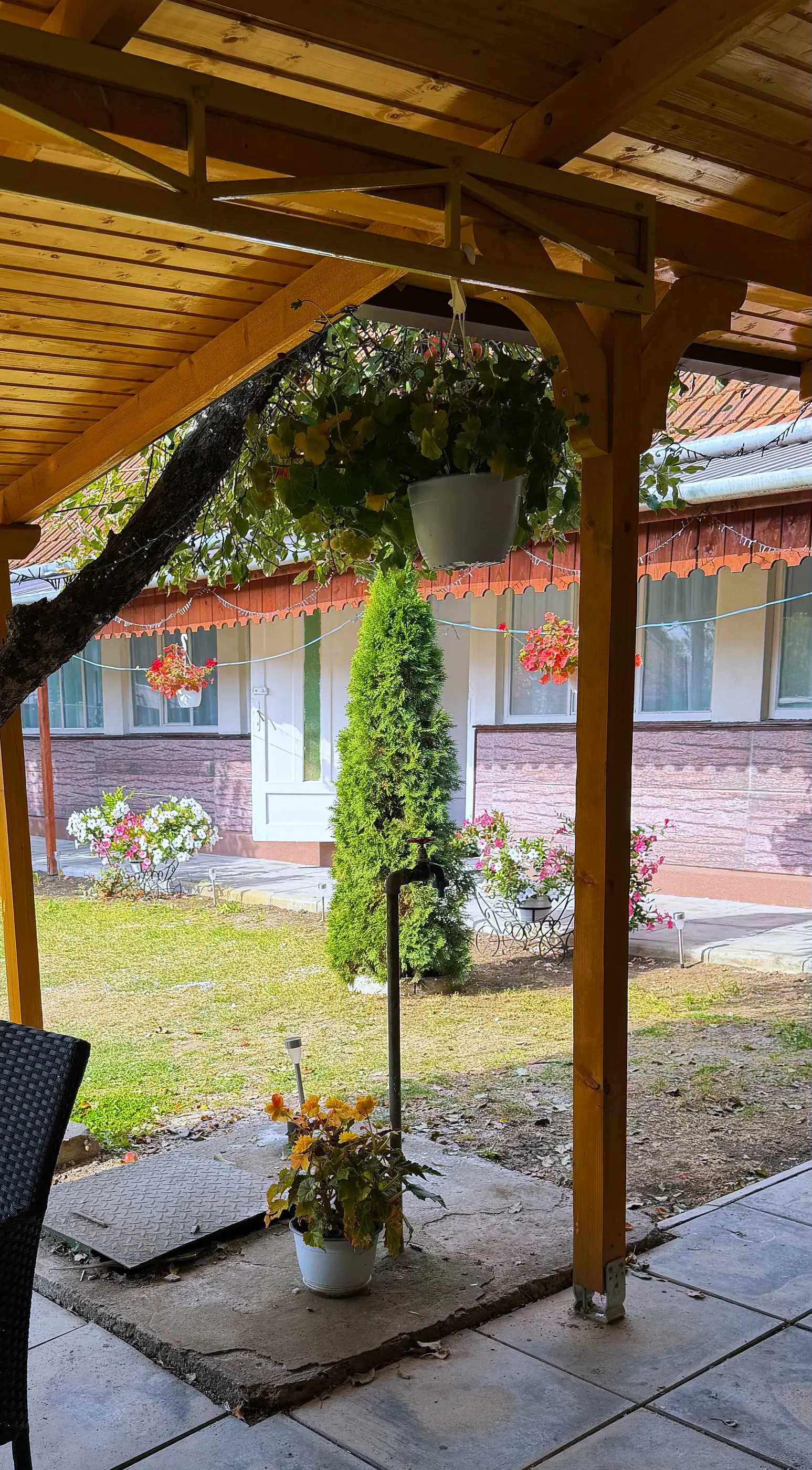 Vedere de sub pergolă spre curte și casă